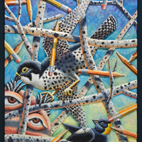 Morgan Bulkeley's Oil Painting , Peregrine